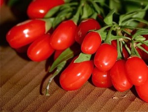 baie-de-goji-du-ningxia-usage-of-goji-berries