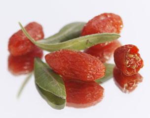 goji berries tibetan dried berries juice organic agoji lycium barbarum