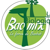 baomix - logo