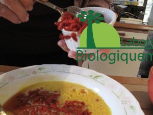 omelette_goji_agoji-12