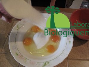 omelette_goji_agoji-9
