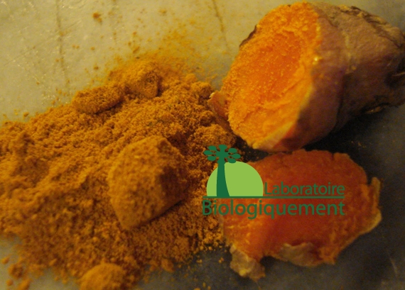 curcuma-agoji-anti-oxydant-naturel