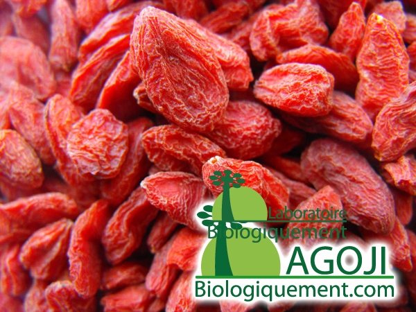 agoji_goji_ningxia_himalaya