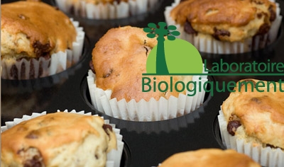 goji-choc-chip-muffins-1
