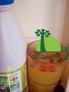 goji-jus-de-fruit-goji-ananas-alice-1