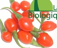 goji-sante-himalaya-super-fruit-grande