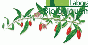 goji-super-fruit-baies-de-goji-himalaya-goji-berries-35