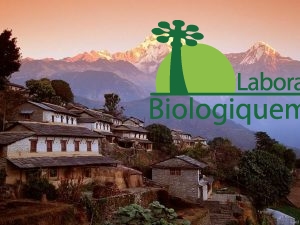 himalaya-goji-berries-baies-de-gojis