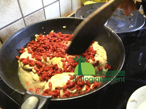 recette_goji_himalaya_poulet_sel_guerande-18
