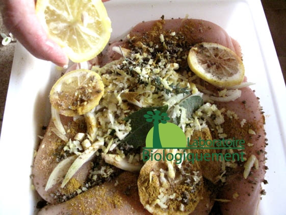 recette_goji_himalaya_poulet_sel_guerande-6