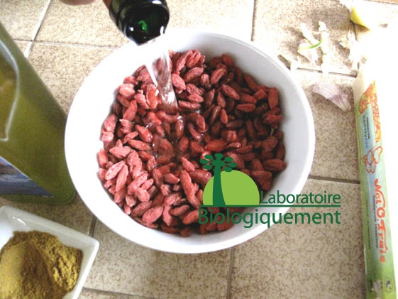 recette_goji_himalaya_poulet_sel_guerande-8