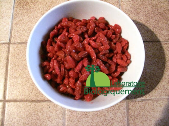 recette_goji_himalaya_poulet_sel_guerande-9