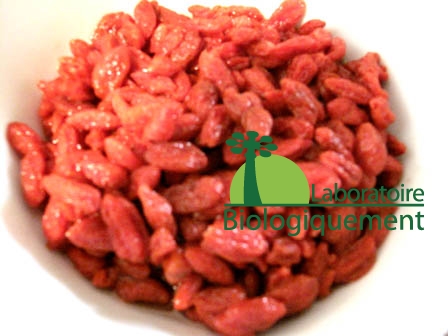 darnes-goji_5