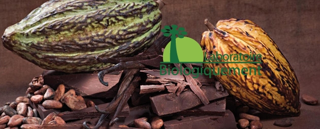 chocolat-agoji-Chocolat-antioxidant