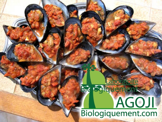 moules_farcies_au_baies_de_goji_naturelles_agoji-38