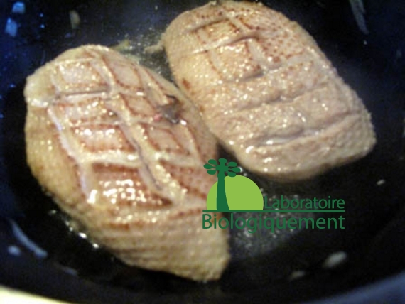 recette-canard-au-goji-naturel-himalaya-antioxydant-bio-15