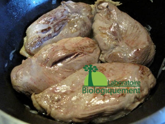 recette-canard-au-goji-naturel-himalaya-antioxydant-bio-16