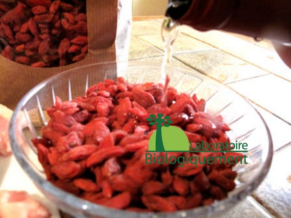 recette-canard-au-goji-naturel-himalaya-antioxydant-bio-2