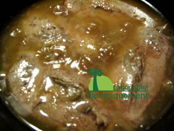 recette-canard-au-goji-naturel-himalaya-antioxydant-bio-26
