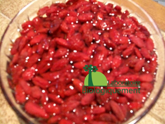 recette-canard-au-goji-naturel-himalaya-antioxydant-bio-3