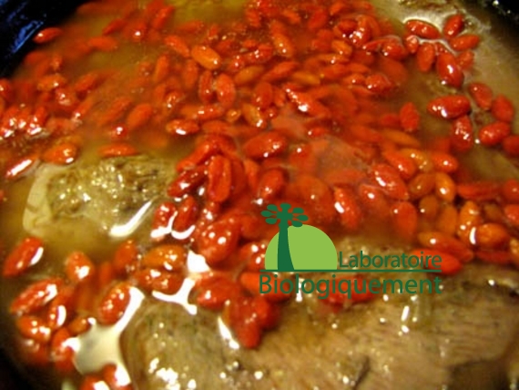 recette-canard-au-goji-naturel-himalaya-antioxydant-bio-30
