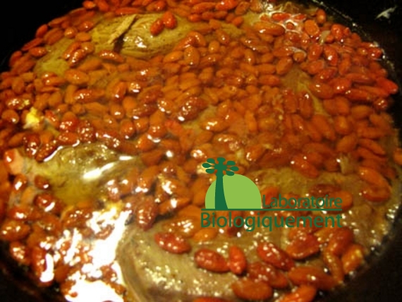 recette-canard-au-goji-naturel-himalaya-antioxydant-bio-31