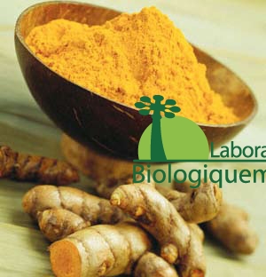 Le curcuma : un puissant antioxydant