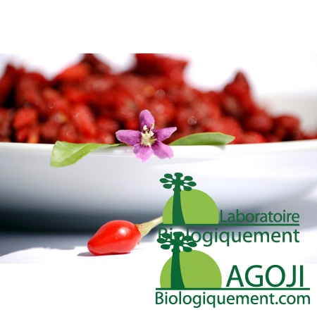 Baies de goji bio 