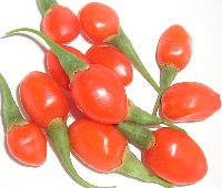 goji-super-fruit-baies-de-goji-himalaya-goji-berries-42