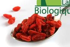 baies-de-goji-antioxydant-naturel super-fruit-baies-de-goji-antioxydant-naturel