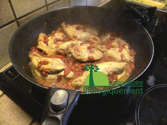 recette_goji_himalaya_poulet_sel_guerande-19