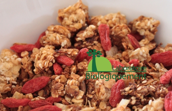 baies-agoji-muesli-baies-goji-himalaya-naturel-biologique