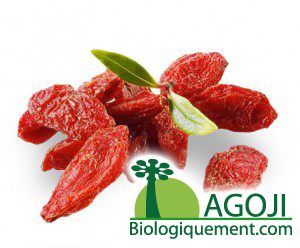 la baie de Goji bio antioxydantes